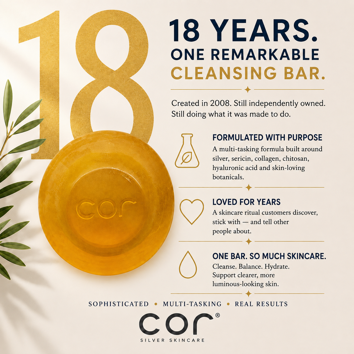 Cor Silver Soap | The Introduction | 15gm